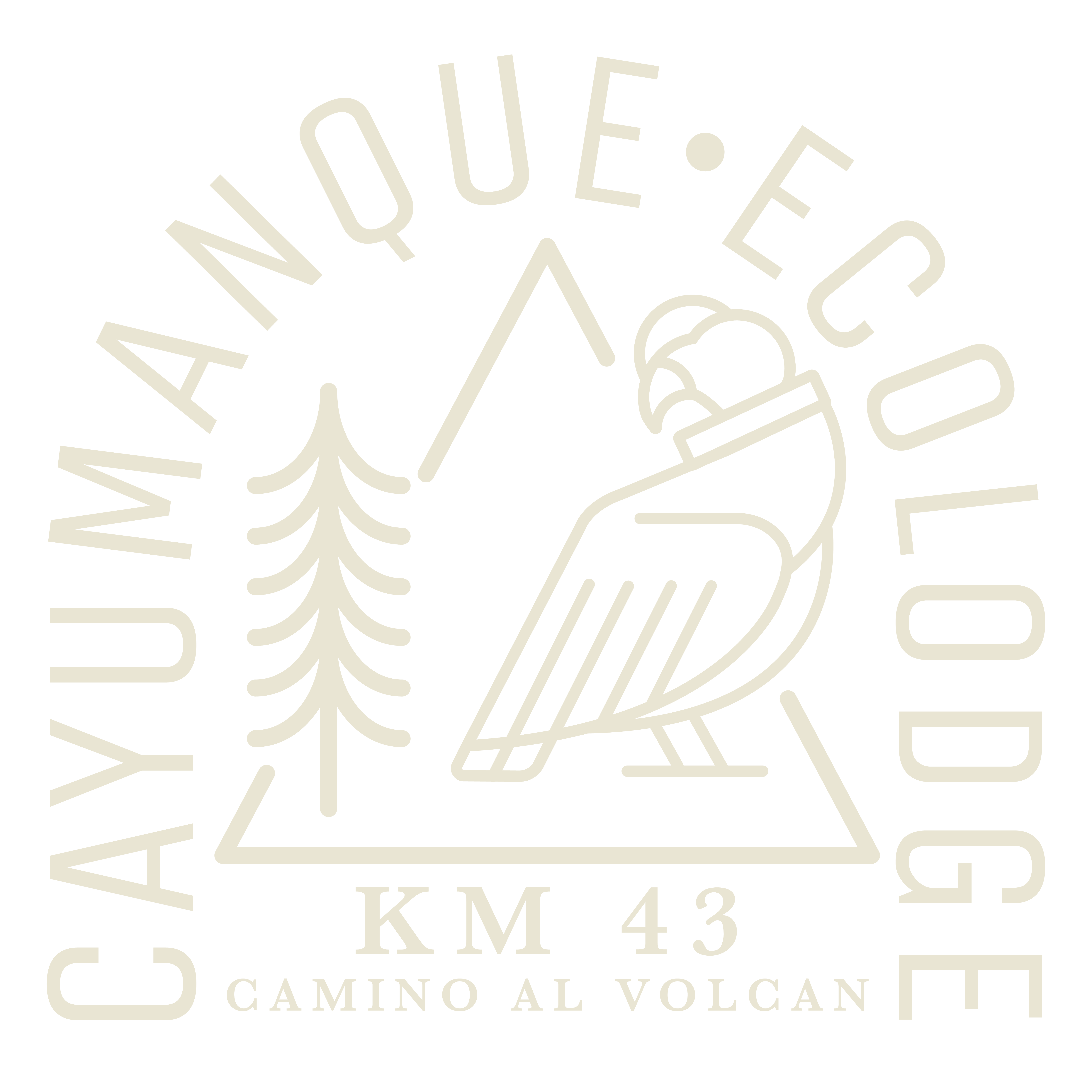 logo cayumanque