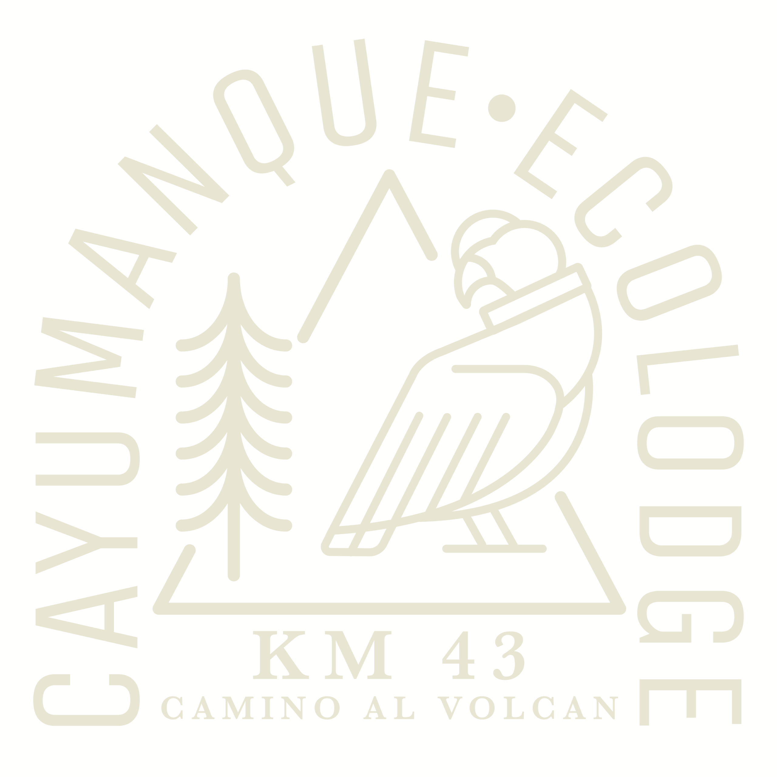 logo cayumanque